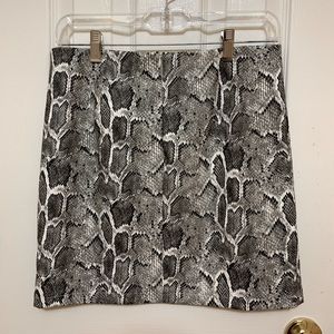 Snakeskin Print Skirt